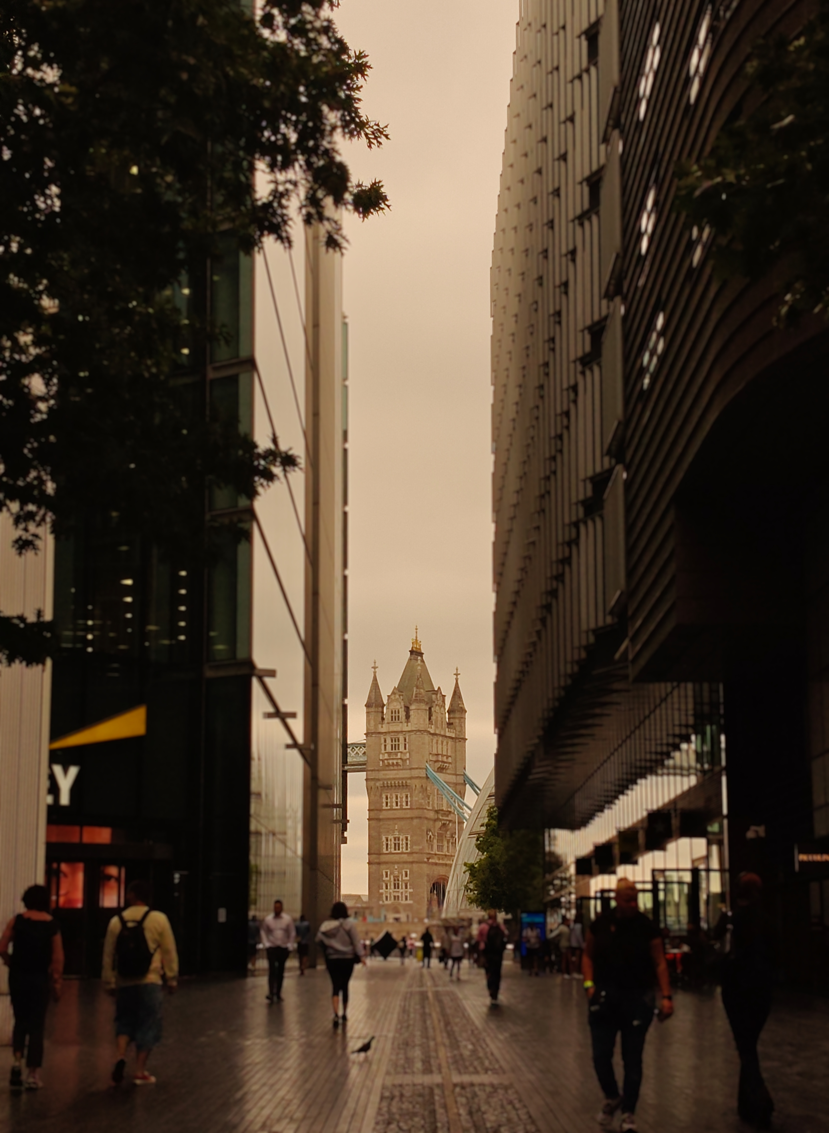 Tower Bridge centered among the offices